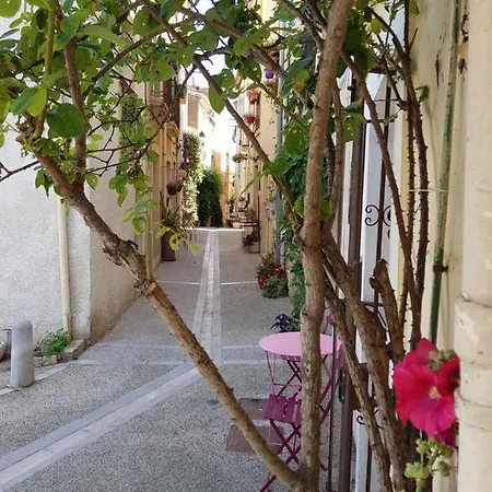 La Trémière, maison de village, sauna, vue garrigue Bouzigues Extérieur photo
